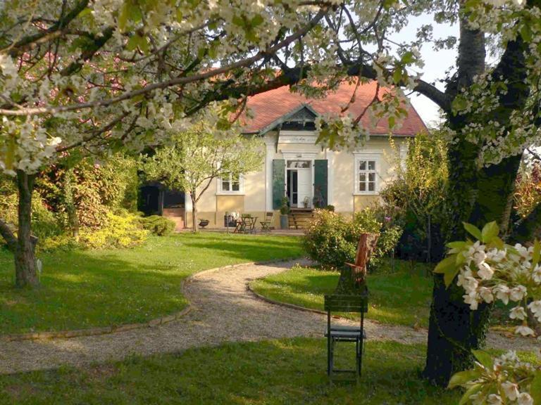 Villa Mimi Sopron Exteriör bild