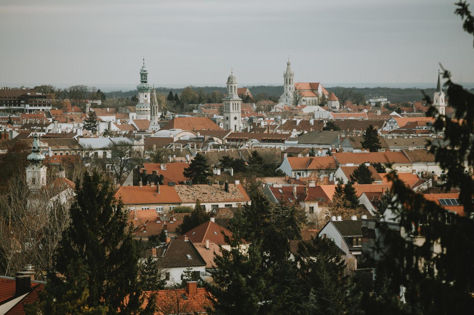 Villa Mimi Sopron Exteriör bild